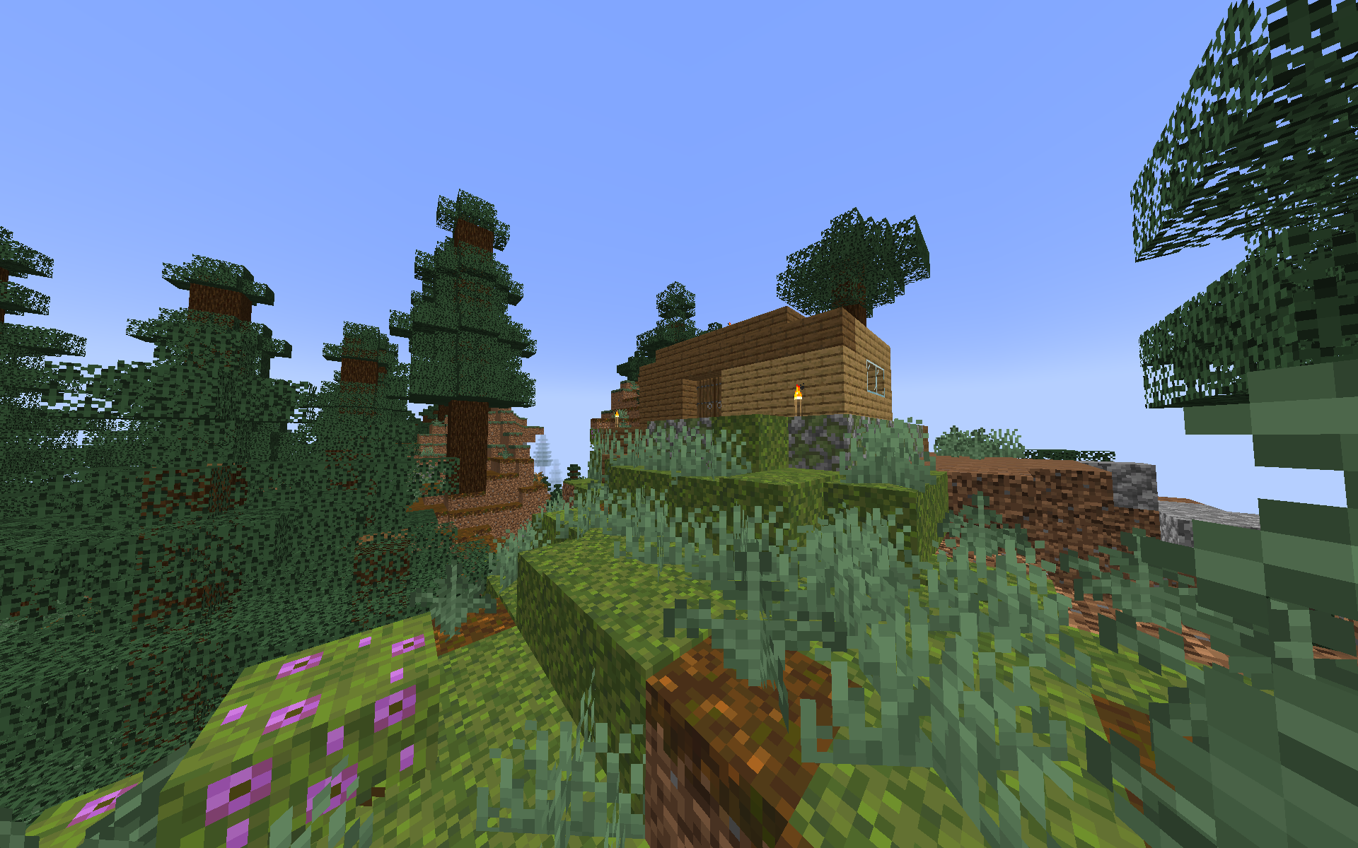 Старая хижина лесника